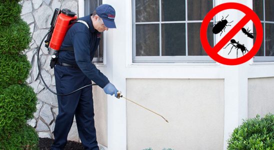 Elbistan Hamam Böceği İlaçlama böcek ilaçlama ve haşere kontrolü — ilaclama-tr.com